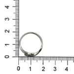 Sterling Silver Ring With Leaf Design