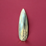 PURE SILVER KEWDA PAN